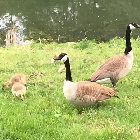 En Bord De Seine Bed & Breakfast Vetheuil Luaran gambar